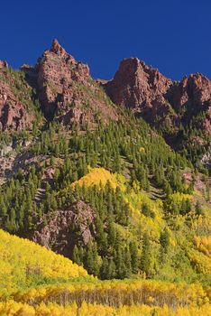 aspen tree with mountain peak in colorado during mid autumn