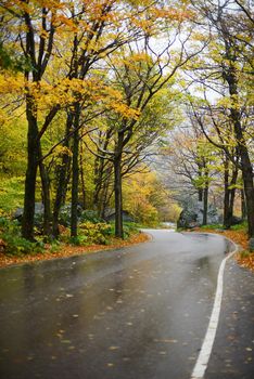 a local road in vermont with colorful autumn foliage