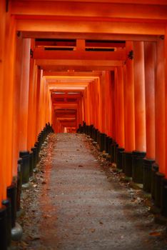 the famous japanese path with red gate called Fushimi Inari