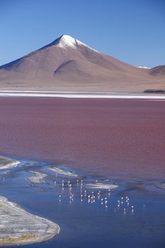 red lagoon with mountain peak in bolivia desert