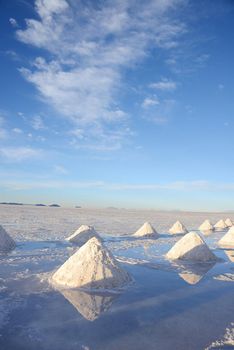 salt pile in salt production industry in bolivia