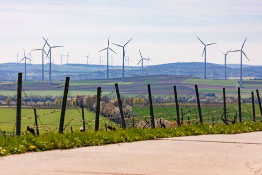 Landscape with vines and fields in front of countless wind turbines on the horizon in Rhineland-Palatinate