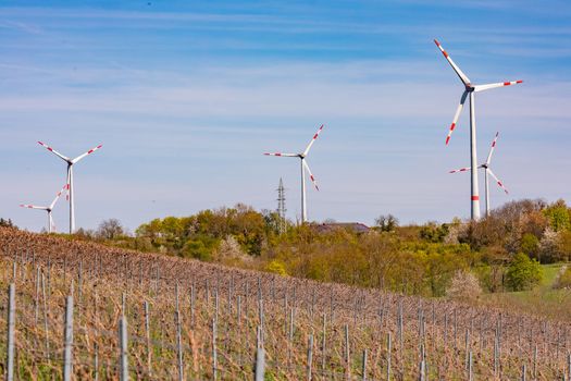 Vineyards in front of a wind farm with many wind turbines for the energy transition in Germany