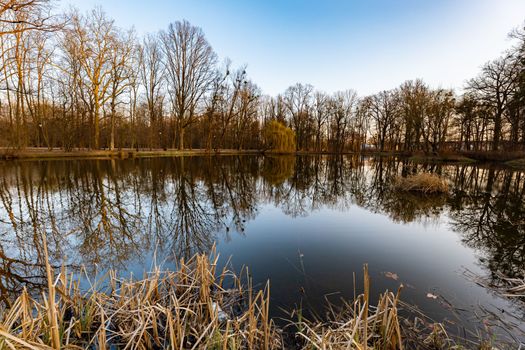 Beautiful colorful park after winter at afternoon reflected in small lake