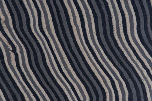 Texture of wood with stripes. Texture of natural African wood with zebra pattern. High resolution photo of a brown black board