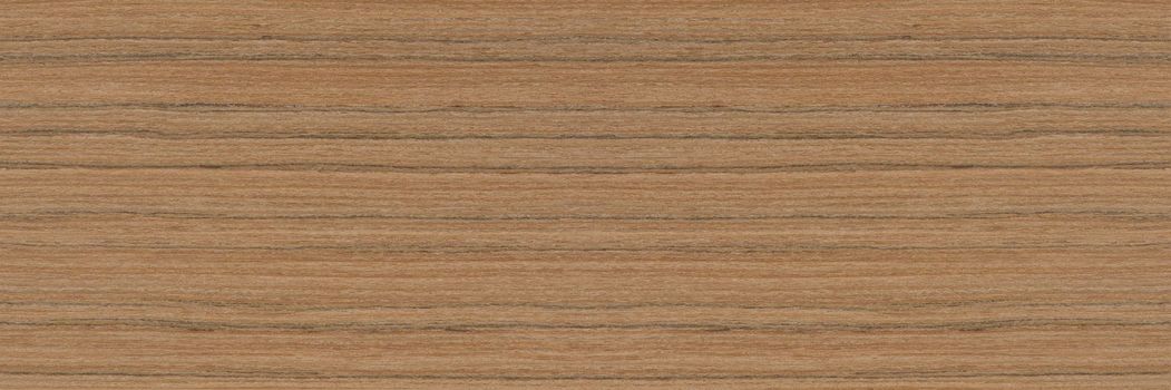 Zebra tree. Texture of brown wood with horizontal black stripes. African zebrano wood texture on macro. Photo in very high resolution