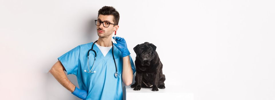 Handsome doctor veterinarian holding syringe and standing near cute black pug, vaccinating dog, white background.