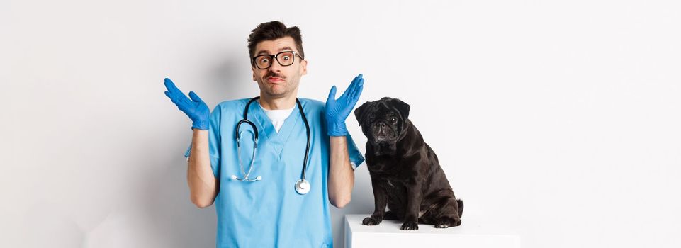 Clueless doctor veteriantian in scrubs shrugging, staring at camera confused while dog sitting on examination table and waiting for check-up, white background.