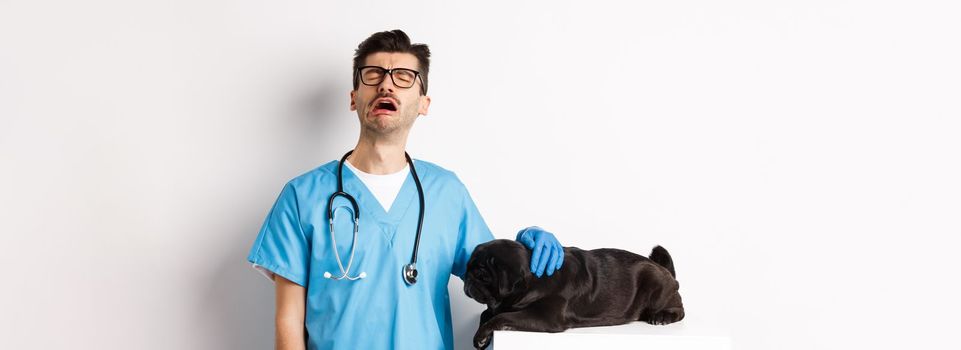 Sad male doctor filling pity for cute black dog pug lying sick on vet clinic table, veterinarian crying and petting puppy, white background.