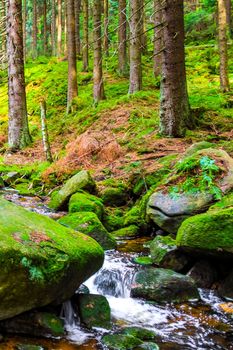 Small beautiful waterfall river stream in forest park and nature at Brocken Mountain in Harz Wernigerode Saxony-Anhalt Germany.