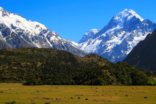 Hooker Valley meadows and Mt Cook massif, South Island of New Zealand at sunny day