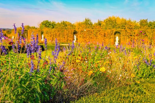 Autumn foliage colors in Paris public park landscape, France