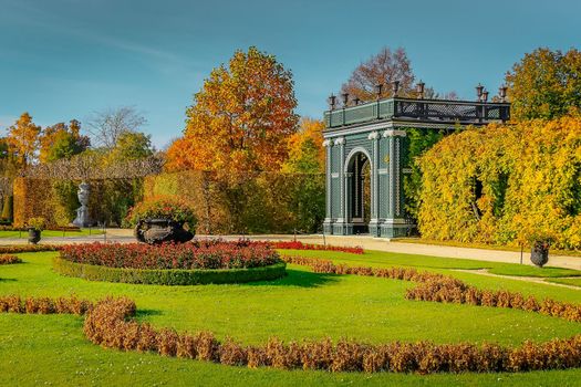 Autumn foliage colors in Vienna public park landscape, Austria