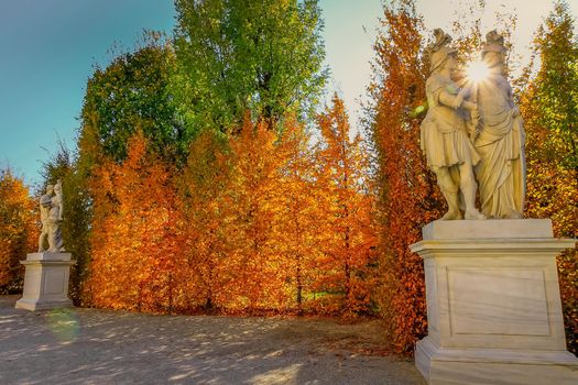 Autumn foliage colors in Vienna public park landscape, Austria