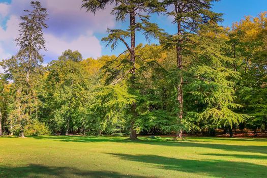 Autumn foliage colors in Loire valley public park with garden landscape, France
