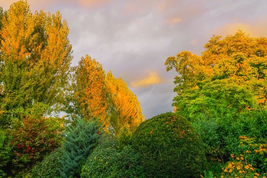 Autumn foliage colors in Loire valley public park with garden landscape, France