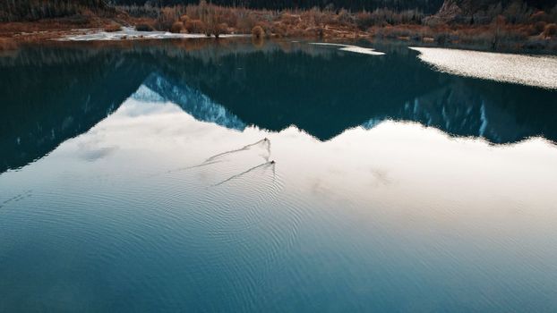 Ducks swim on a mirrored smooth mountain lake. They leave behind streaks on the water. The surface of the water reflects the sky, sunset, clouds and mountains. Ducks swim away from the drone. Issyk