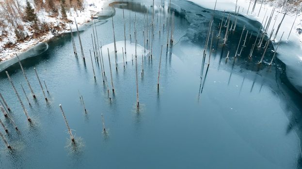 Kaindy Mountain Lake in winter. Drone view of the freezing dark water. Trunks of frozen fir trees come out of the lake. There is a coniferous forest and mountains covered with white snow all around