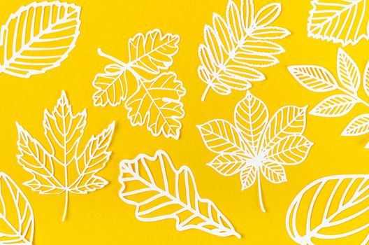 Group of white leaves made from carve paper or cutting on yellow background.