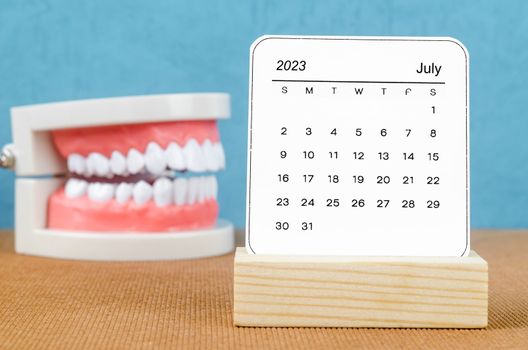 July 2023 Monthly calendar for 2023 year with Model tooth on wooden table.
