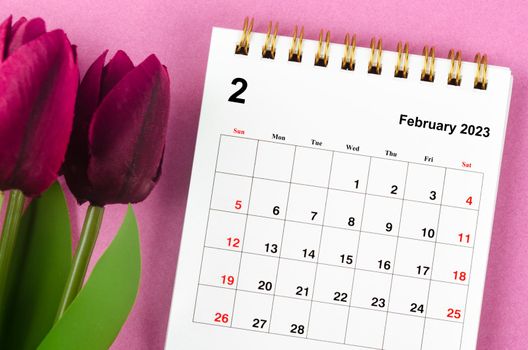 February 2023 Monthly desk calendar for 2023 year and red tulip on pink background.