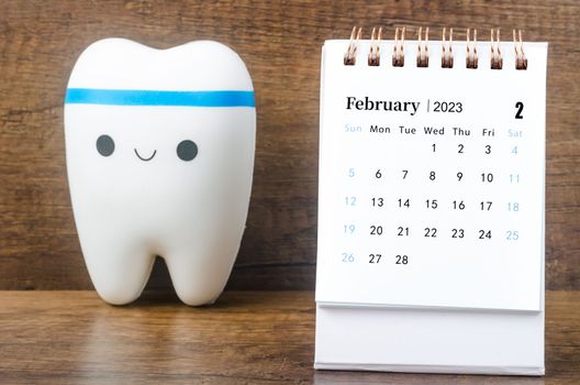 February 2023 Monthly desk calendar for 2023 year with Model tooth on wooden table.