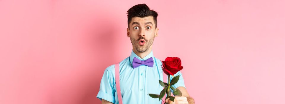 Valentines day and romance concept. Cute man in bow-tie giving red rose to you and looking with sympathy, standing on romantic pink background.