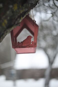 Close-up of a bird feeder on a tree under the snow in the forest