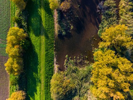 The course of the stream as an aerial view with trees, reeds and bushes harbors diversity in the wetland and biotope