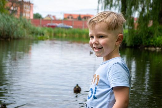 A little boy wearing a blue shirt is playing on a pond with ducks. Vacation resort. High quality photo