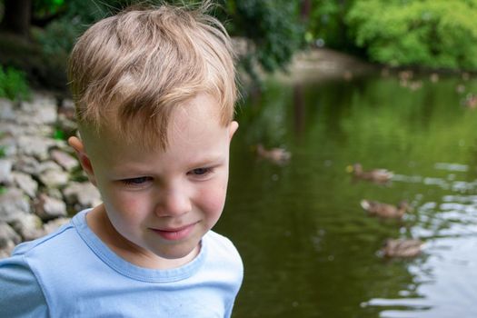 A little boy wearing a blue shirt is playing on a pond with ducks. Vacation resort. High quality photo