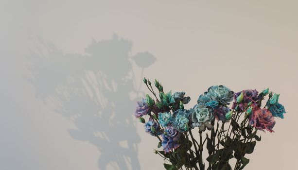 blue and purple flowers isolated on white background with copyspace.