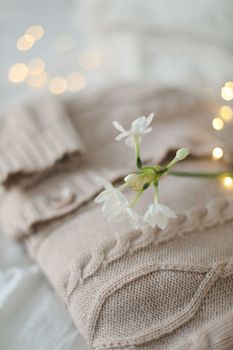 Knitted beige sweater and delicate spring flowers. Winter and spring fashion concept