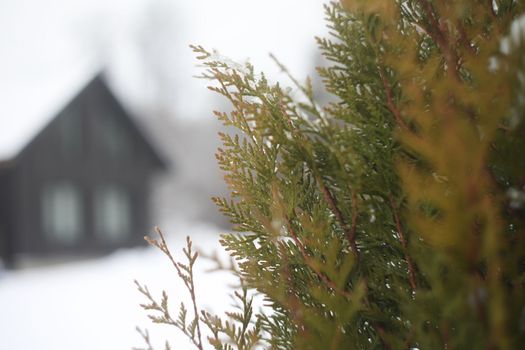 Silhouette of a house in winter.