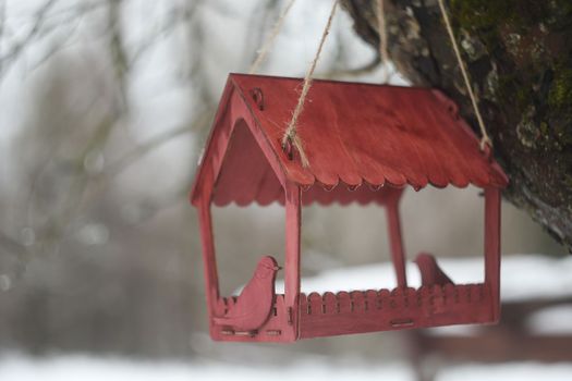 Close-up of a bird feeder on a tree under the snow in the forest