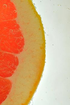 Close-up of fresh grapefruit slice on white background. Slice of red grapefruit in sparkling water on white background, close-up. Vertical image.