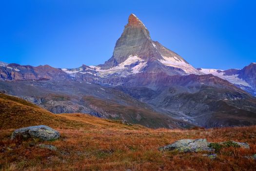 Matterhorn above zermatt pine trees woodland idyllic valley, Swiss Alps