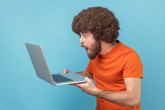 Man with Afro hairstyle in orange T-shirt doing freelance job on laptop, typing email or surfing internet, looking surprised at laptop screen. Indoor studio shot isolated on blue background.