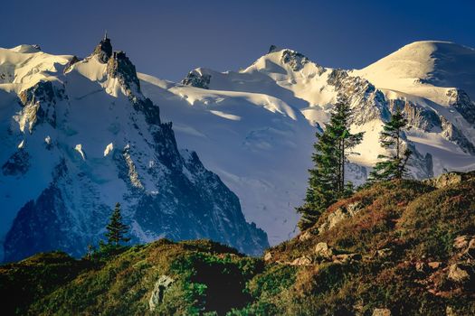 Mont Blanc massif idyllic alpine landscape countryside at sunny day, Chamonix, French Alps