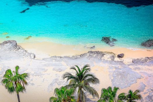 Tropical paradise, sand beach in caribbean Saona Island, Punta Cana, Dominican Republic