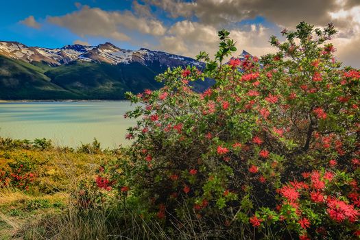 Snowcapped Andes and Lake Argentina near El calafate, Patagonia landscape, South America