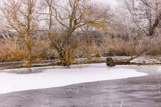 A completely frozen lake with ice and snow in winter in a rural landscape with trees on the shore, Germany
