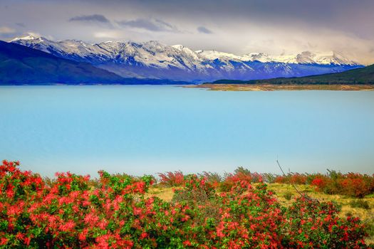 Snowcapped Andes and Lake Argentina near El calafate, Patagonia landscape, South America