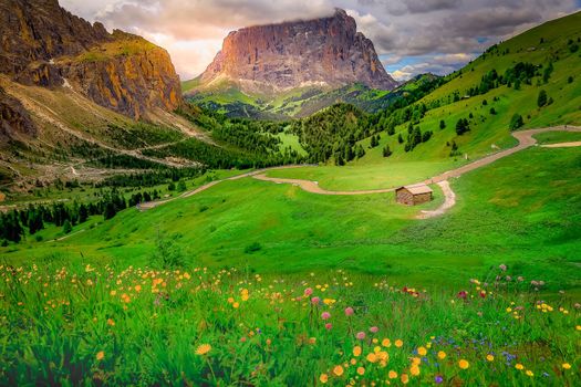 Langkofel, Sassolungo pinnacles, Dolomites sudtirol, Pordoi Pass near Cortina d Ampezzo, Italy