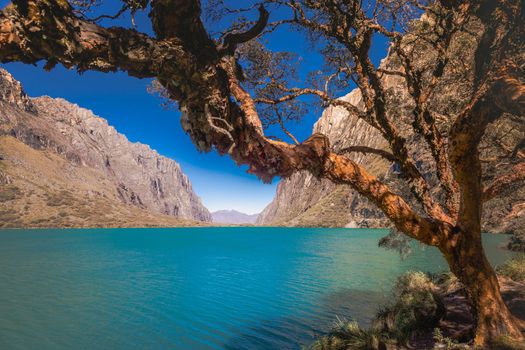 Turquoise Llanganuco lake in Cordillera Blanca at sunny day, snowcapped Andes, Ancash, Peru