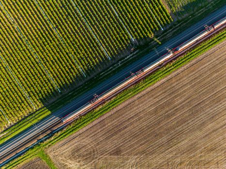 Aerial view of a train and railroad tracks between fields seen directly from above