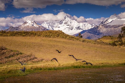 Cordillera Blanca panorama near Huaraz, snowcapped Peruvian Andes at sunny day, Ancash, Peru