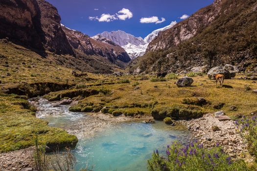 River and Huascaran Mountain massif in Cordillera Blanca, snowcapped Andes, Ancash, Peru, South America