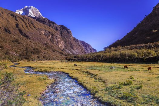 River and Huascaran Mountain massif in Cordillera Blanca, snowcapped Andes, Ancash, Peru, South America