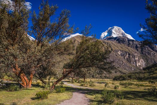 Trekking path, mountain pass in Huascaran, Cordillera Blanca, snowcapped Andes, Ancash Peru